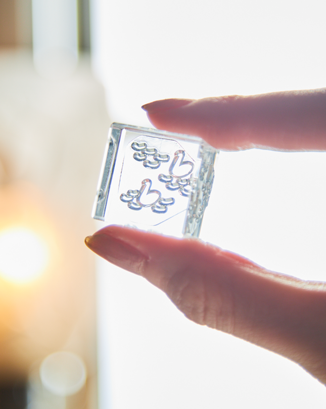 HITOTOKI Clear Stamp "Korijirushi" Swan From KingJim