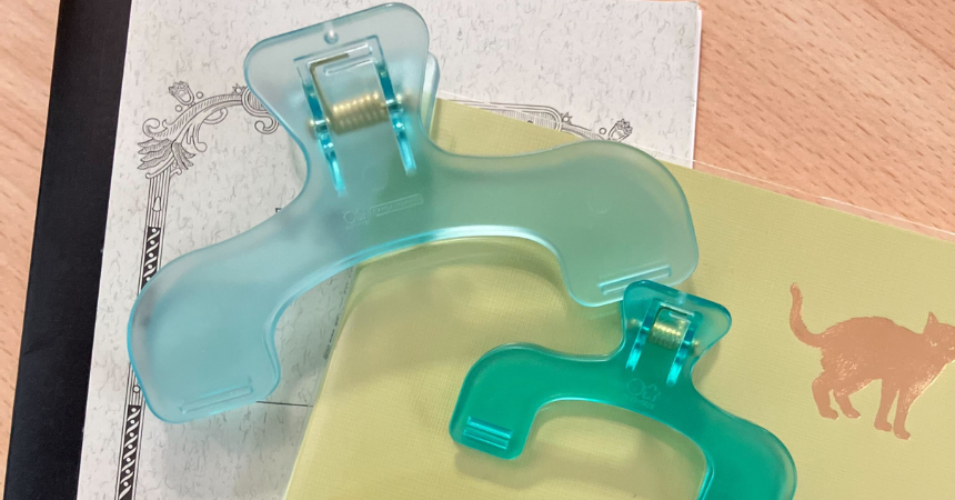 Honest Review: SUNSTAR Ukanmuri Clip & Mini – Is It Worth the Hype?