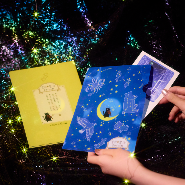 Kinose Printing - Starry Galaxy Clear File