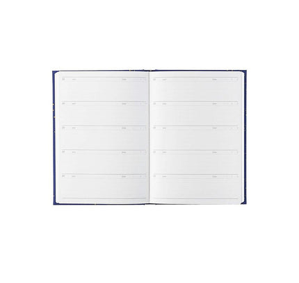 ARTIMIS 3-Year Diary Horoscope Inside