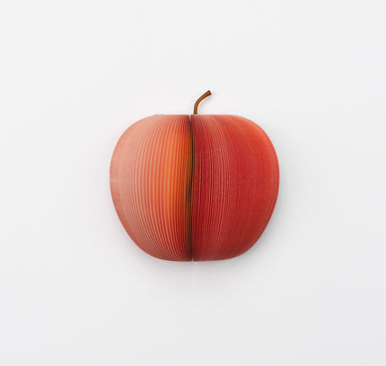 KYOTO DAIWA Fruit Memo - Apple