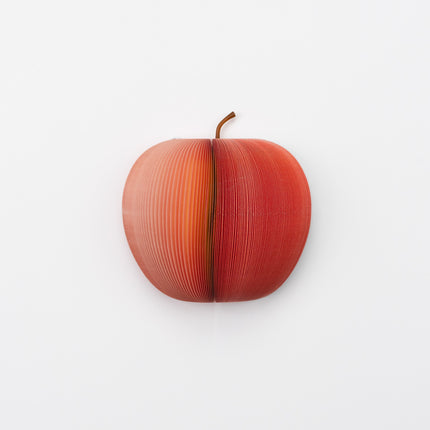 KYOTO DAIWA Fruit Memo - Apple