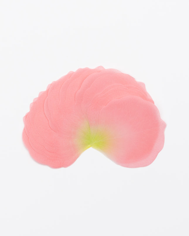 PAPERABLE Flower Memo