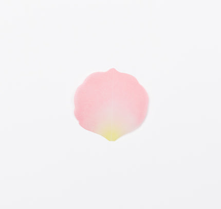 PAPERABLE Flower Memo