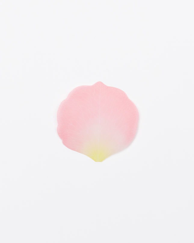 PAPERABLE Flower Memo