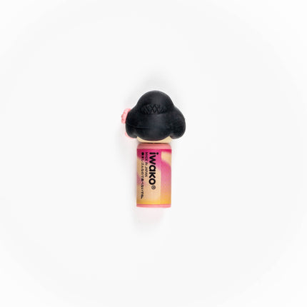 IWAKO Maiko Eraser - ZenPop Japan Stationery Store