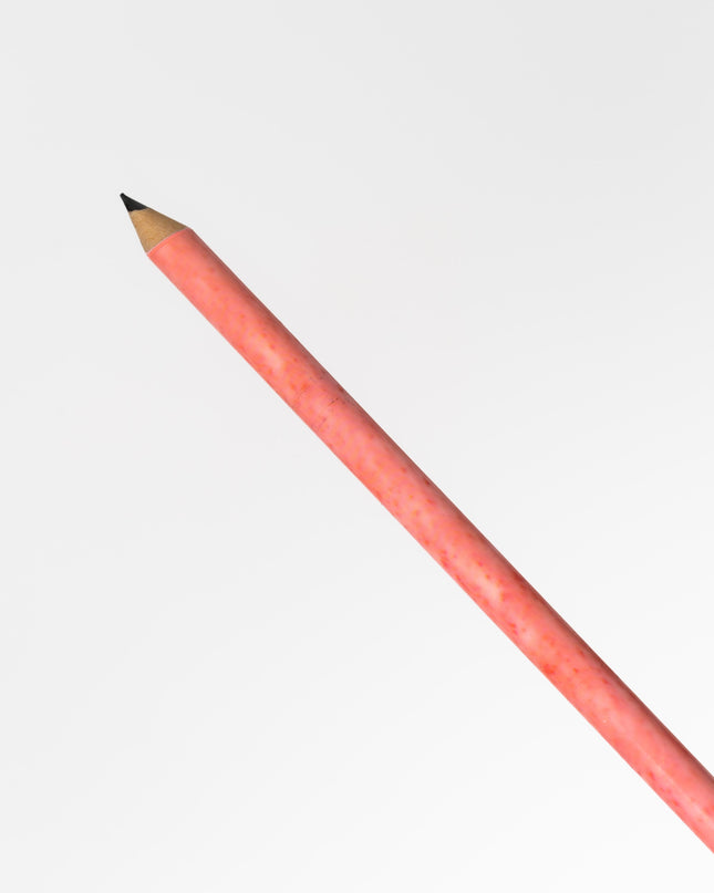 SAKAMOTO Pency Pocky Pencil (4pcs) - ZenPop Japan Stationery Store