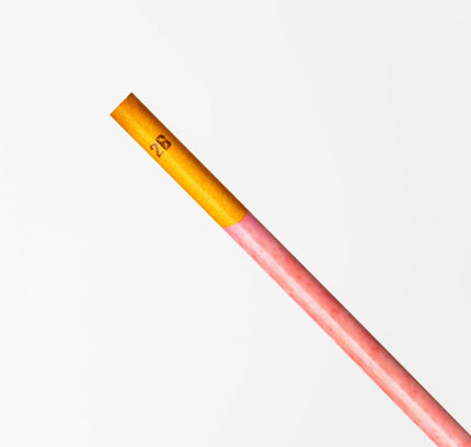 SAKAMOTO Pency Pocky Pencil (4pcs) - ZenPop Japan Stationery Store