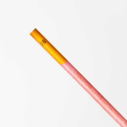 SAKAMOTO Pency Pocky Pencil (4pcs) - ZenPop Japan Stationery Store