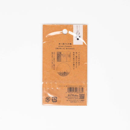 KAMIDEA Pale Transparent Flowers Sticky Notes - ZenPop Japan Stationery Store