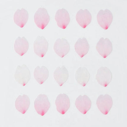 BANDE Masking Roll Sticker - Sakura Petal -Saki-