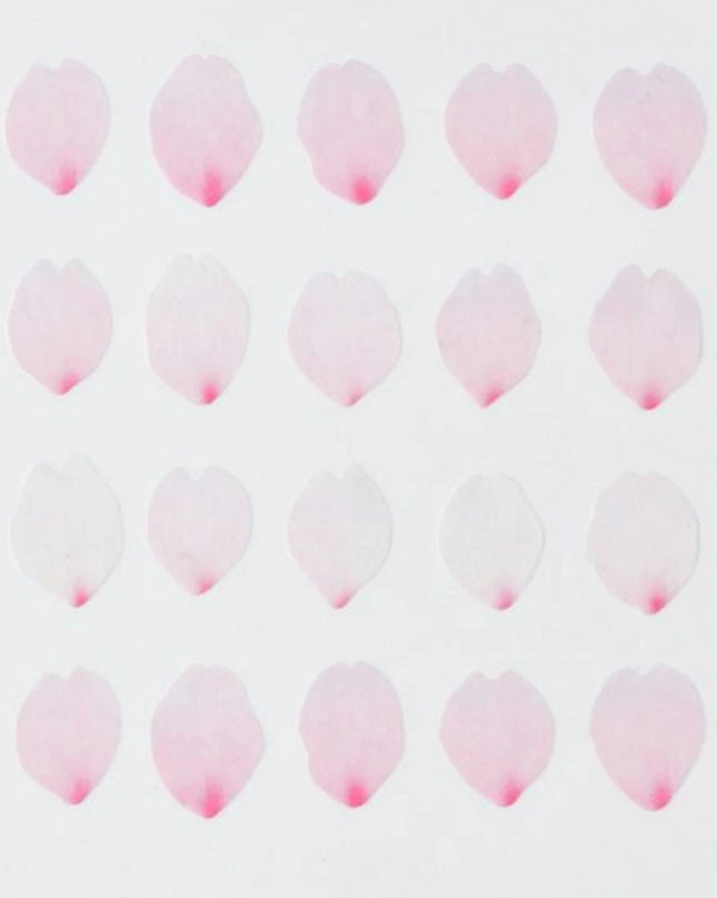 BANDE Masking Roll Sticker - Sakura Petal -Saki-