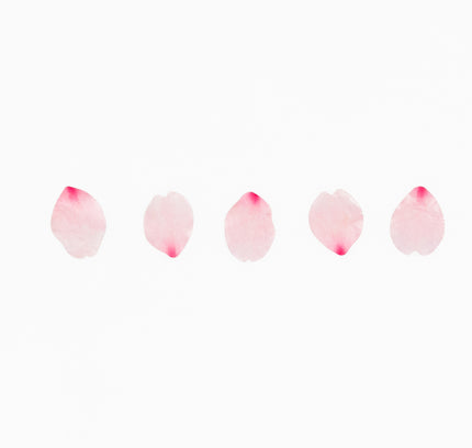 BANDE Sakura Petal -Saki- Masking Tape - ZenPop Japan Stationery Store