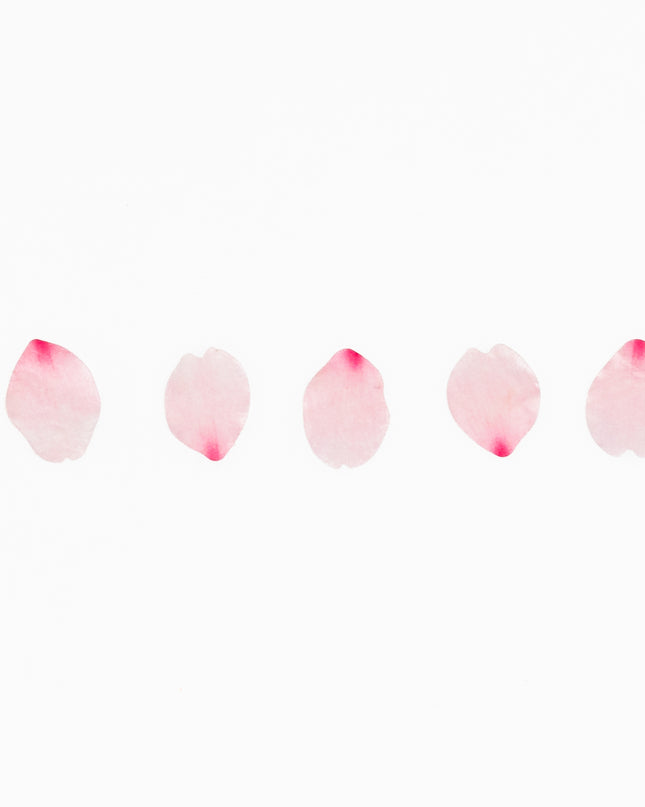 BANDE Sakura Petal -Saki- Masking Tape - ZenPop Japan Stationery Store