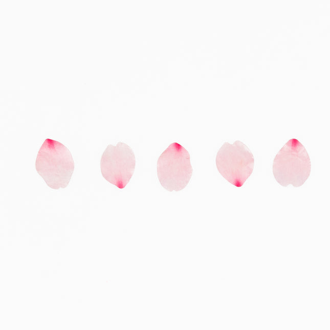 BANDE Sakura Petal -Saki- Masking Tape - ZenPop Japan Stationery Store
