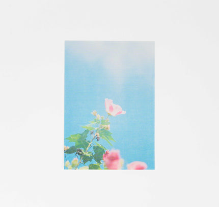 RYURYU Sky Time Letter set - ZenPop Japan Stationery Store