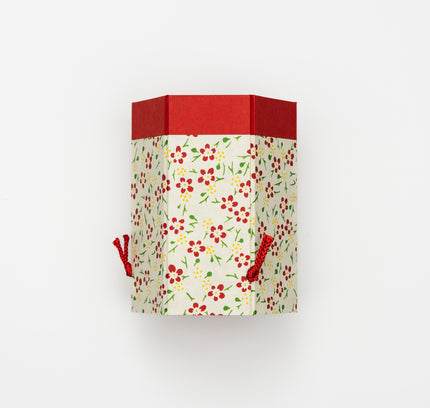 HAIBARA Hexagon Pen Case Plum Tree