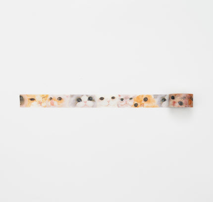 BGM Foil Masking Tape Face of Cat