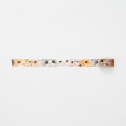 BGM Foil Masking Tape 20mm - Face of Cat