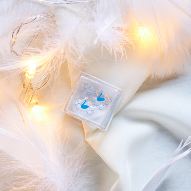 HITOTOKI Clear Stamp "Korijirushi" Swan From KingJim