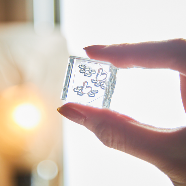 HITOTOKI Clear Stamp "Korijirushi" Swan From KingJim